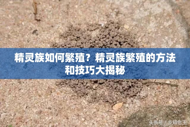 精靈族如何繁殖？精靈族繁殖的方法和技巧大揭秘