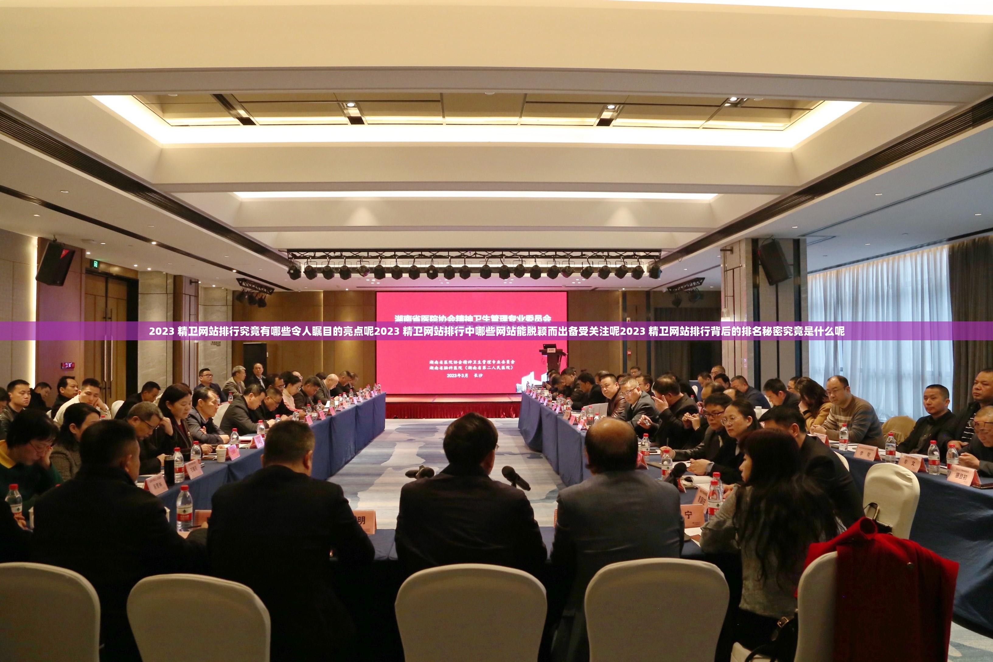 2023 精衛(wèi)網(wǎng)站排行究竟有哪些令人矚目的亮點呢2023 精衛(wèi)網(wǎng)站排行中哪些網(wǎng)站能脫穎而出備受關注呢2023 精衛(wèi)網(wǎng)站排行背后的排名秘密究竟是什么呢