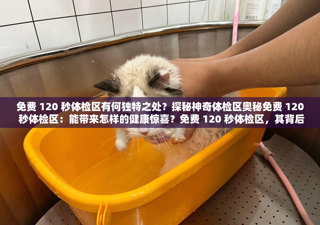 免費(fèi) 120 秒體檢區(qū)有何獨(dú)特之處？探秘神奇體檢區(qū)奧秘免費(fèi) 120 秒體檢區(qū)：能帶來怎樣的健康驚喜？免費(fèi) 120 秒體檢區(qū)，其背后隱藏著怎樣的健康密碼？