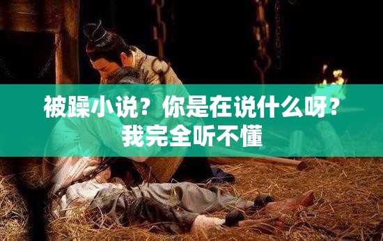 被躁小說？你是在說什么呀？我完全聽不懂