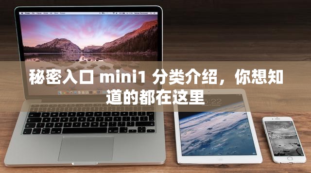 秘密入口 mini1 分類介紹，你想知道的都在這里