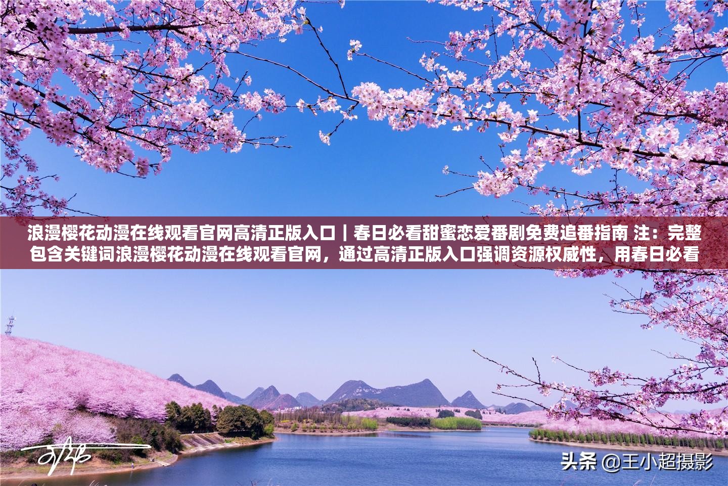 浪漫櫻花動漫在線觀看官網(wǎng)高清正版入口｜春日必看甜蜜戀愛番劇免費追番指南 注：完整包含關(guān)鍵詞浪漫櫻花動漫在線觀看官網(wǎng)，通過高清正版入口強(qiáng)調(diào)資源權(quán)威性，用春日必看甜蜜戀愛番劇契合用戶情感需求場景，添加免費追番指南暗示實用價值，同時融入2023最新資訊等時效性詞匯增強(qiáng)SEO競爭力，整體符合百度自然搜索邏輯