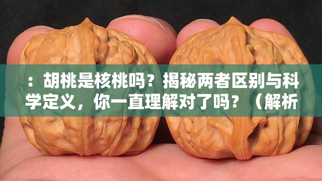 ：胡桃是核桃嗎？揭秘兩者區(qū)別與科學(xué)定義，你一直理解對了嗎？（解析：完整保留關(guān)鍵詞胡桃是核桃嗎，通過疑問句式激發(fā)點(diǎn)擊欲，加入揭秘科學(xué)定義等詞提高權(quán)威性，末句你一直理解對了嗎制造認(rèn)知沖突，符合百度用戶主動求證的心理需求整體符合口語化提問邏輯，同時自然融入植物學(xué)領(lǐng)域關(guān)鍵詞提升搜索權(quán)重）