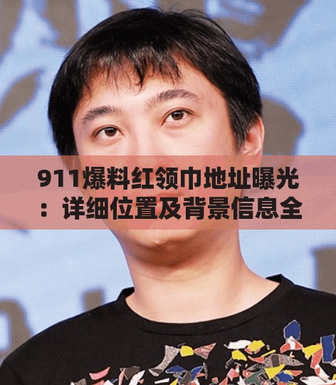 911爆料紅領(lǐng)巾地址曝光：詳細(xì)位置及背景信息全解析，引發(fā)網(wǎng)友熱議