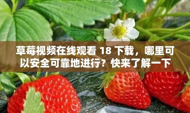 草莓視頻在線觀看 18 下載，哪里可以安全可靠地進(jìn)行？快來了解一下