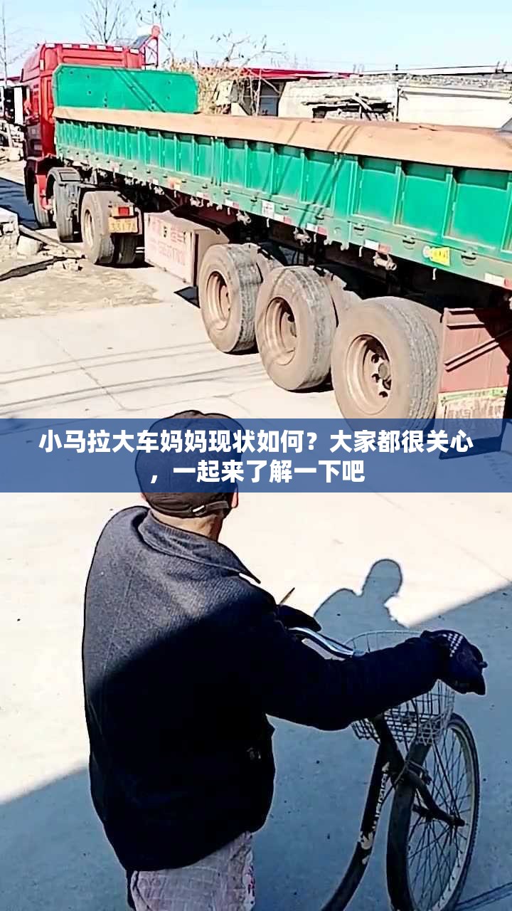 小馬拉大車媽媽現(xiàn)狀如何？大家都很關(guān)心，一起來了解一下吧