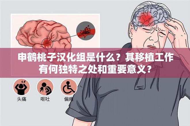 申鶴桃子漢化組是什么？其移植工作有何獨特之處和重要意義？