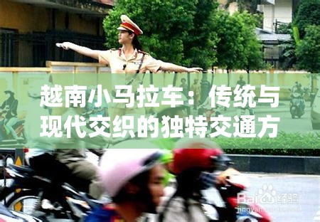 越南小馬拉車：傳統(tǒng)與現(xiàn)代交織的獨(dú)特交通方式，探索其稀缺文化價(jià)值與未來發(fā)展