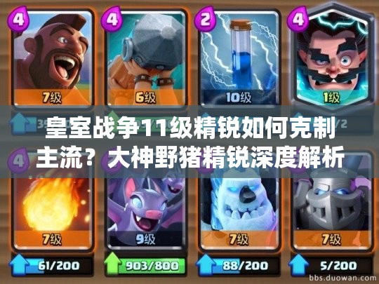 皇室戰(zhàn)爭11級精銳如何克制主流？大神野豬精銳深度解析揭秘