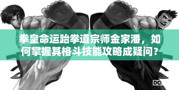 拳皇命運(yùn)跆拳道宗師金家潘，如何掌握其格斗技能攻略成疑問(wèn)？