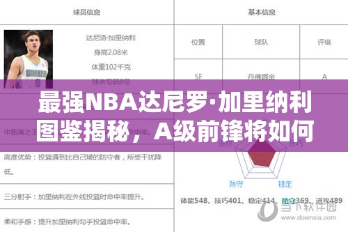 最強(qiáng)NBA達(dá)尼羅·加里納利圖鑒揭秘，A級前鋒將如何革命未來玩法？