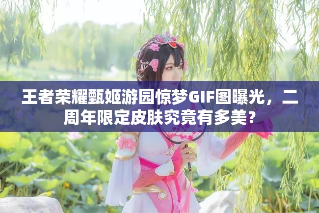 王者榮耀甄姬游園驚夢GIF圖曝光，二周年限定皮膚究竟有多美？