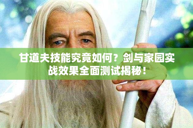 甘道夫技能究竟如何？劍與家園實(shí)戰(zhàn)效果全面測(cè)試揭秘！
