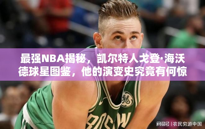 最強(qiáng)NBA揭秘，凱爾特人戈登·海沃德球星圖鑒，他的演變史究竟有何驚人之處？