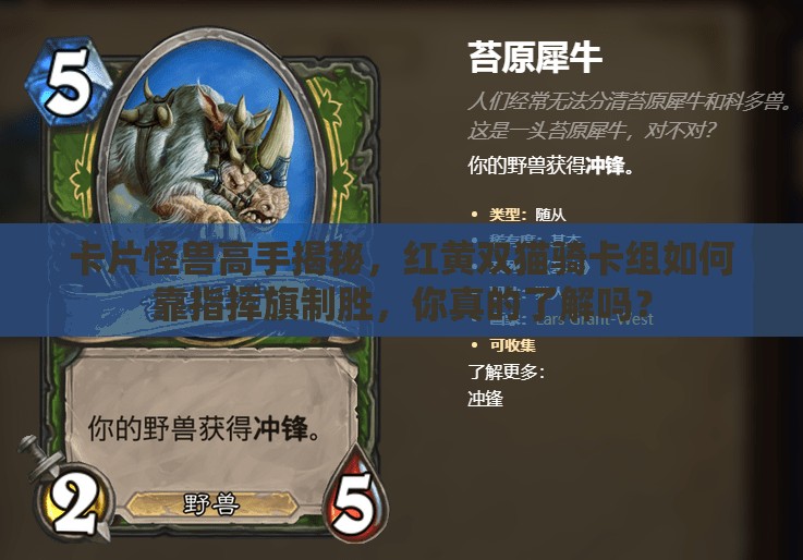 卡片怪獸高手揭秘，紅黃雙貓騎卡組如何靠指揮旗制勝，你真的了解嗎？