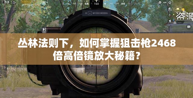 叢林法則下，如何掌握狙擊槍2468倍高倍鏡放大秘籍？