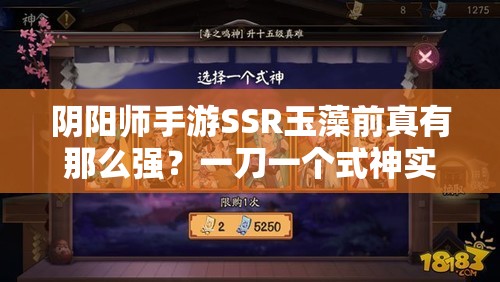 陰陽師手游SSR玉藻前真有那么強(qiáng)？一刀一個式神實(shí)戰(zhàn)評測揭秘！