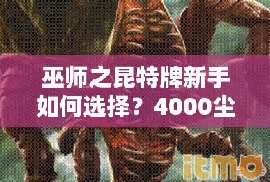 巫師之昆特牌新手如何選擇？4000塵天氣位移松鼠卡組值得一試嗎？