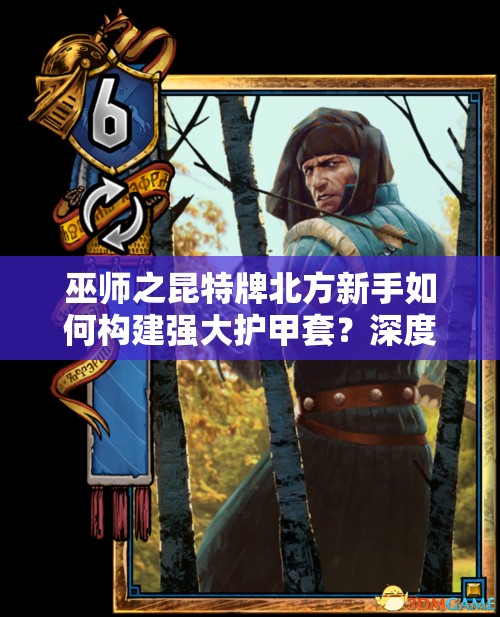 巫師之昆特牌北方新手如何構(gòu)建強(qiáng)大護(hù)甲套？深度解析來揭秘！