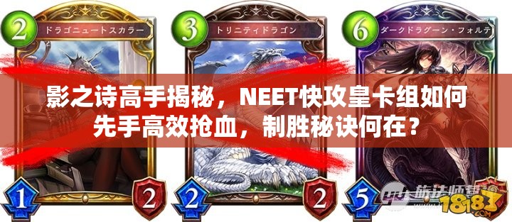 影之詩高手揭秘，NEET快攻皇卡組如何先手高效搶血，制勝秘訣何在？