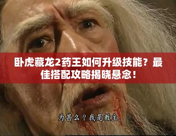 臥虎藏龍2藥王如何升級技能？最佳搭配攻略揭曉懸念！