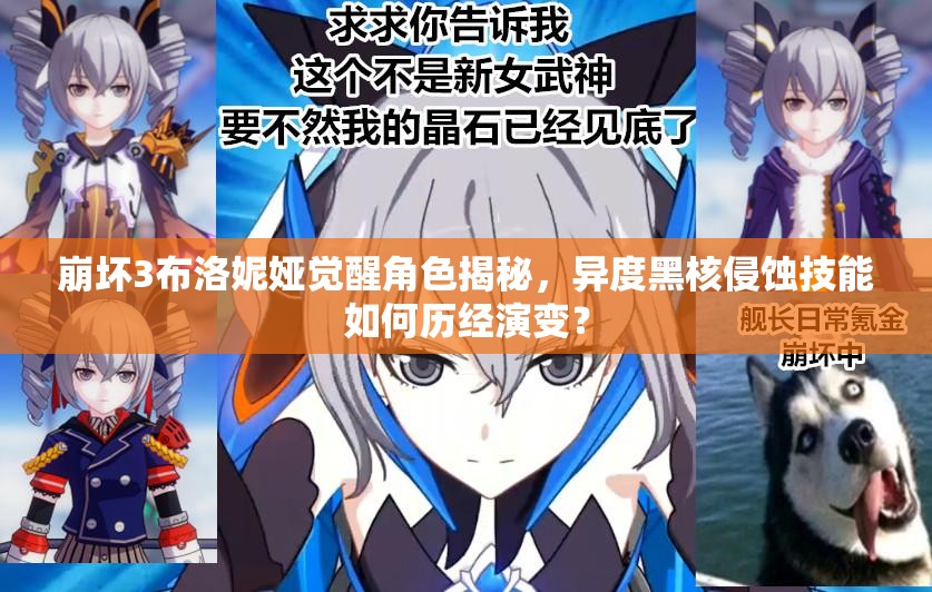 崩壞3布洛妮婭覺醒角色揭秘，異度黑核侵蝕技能如何歷經(jīng)演變？