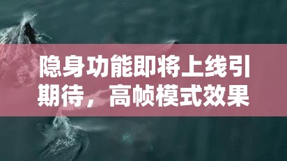 隱身功能即將上線引期待，高幀模式效果不佳，玩家全面攻略何在？
