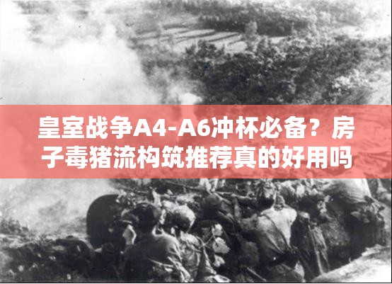 皇室戰(zhàn)爭A4-A6沖杯必備？房子毒豬流構(gòu)筑推薦真的好用嗎？