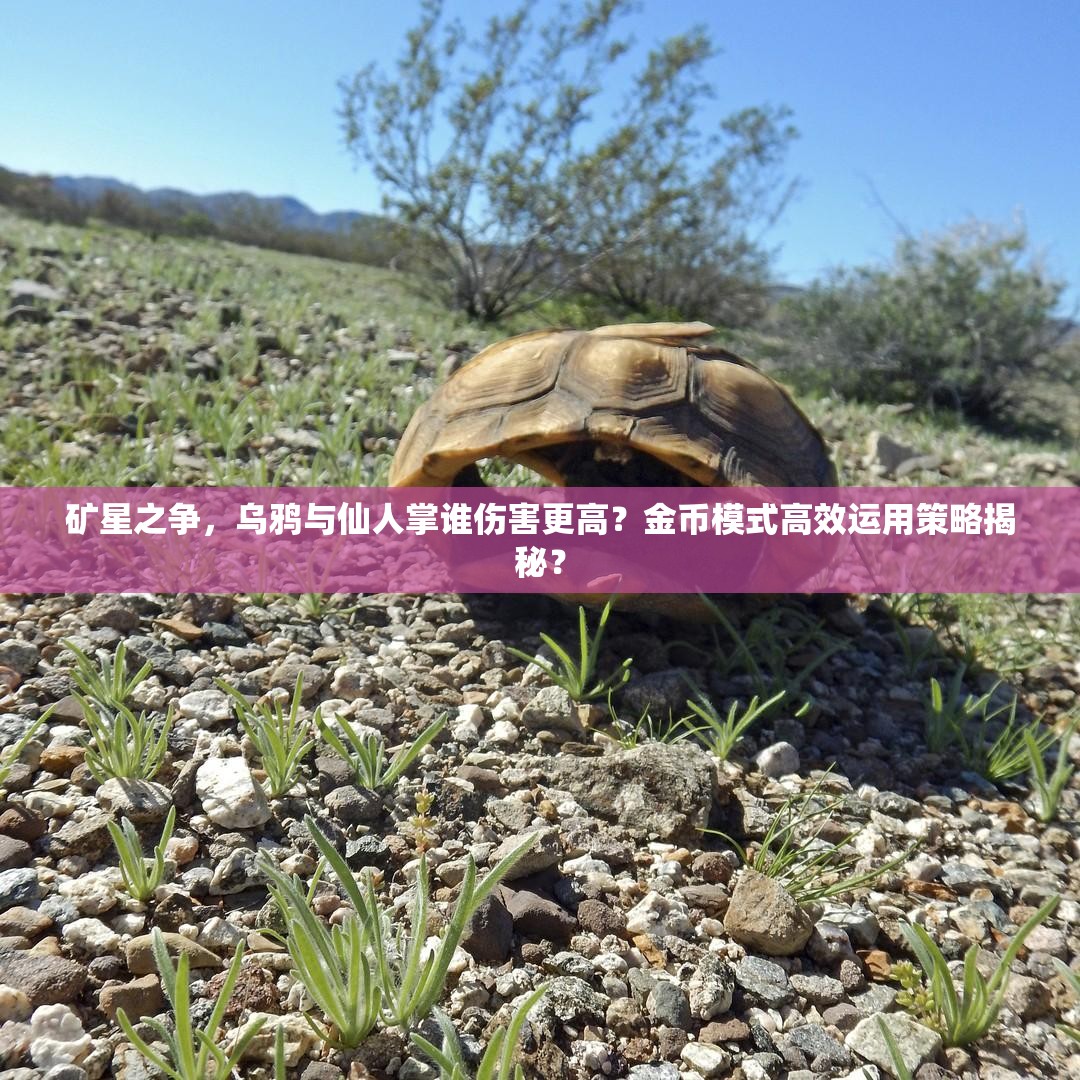 礦星之爭，烏鴉與仙人掌誰傷害更高？金幣模式高效運用策略揭秘？