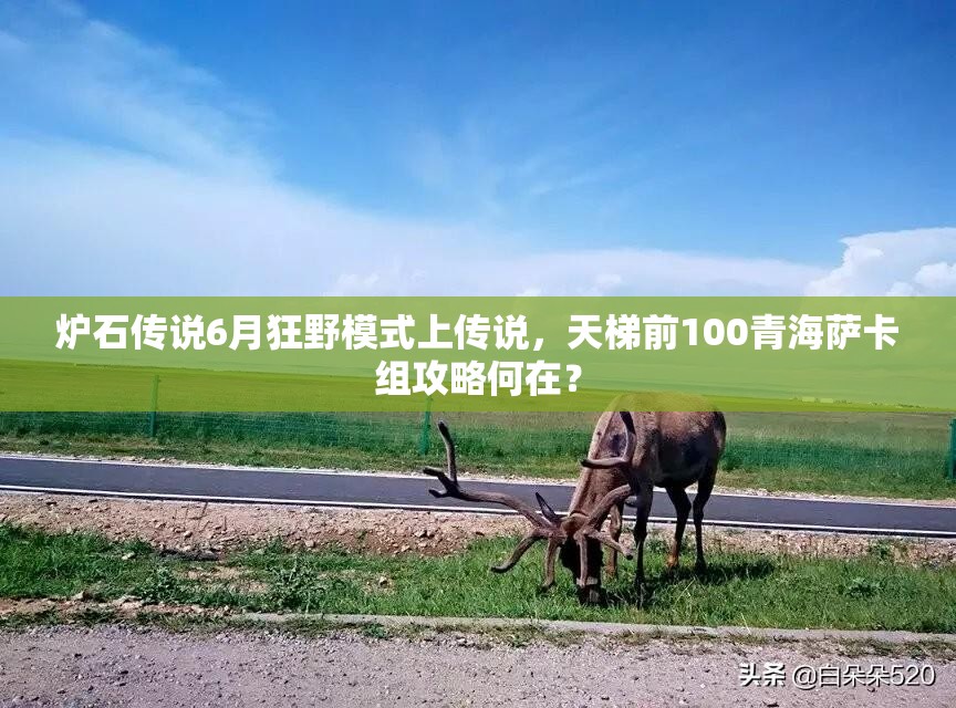 爐石傳說6月狂野模式上傳說，天梯前100青海薩卡組攻略何在？