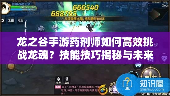 龍之谷手游藥劑師如何高效挑戰(zhàn)龍魂？技能技巧揭秘與未來玩法展望