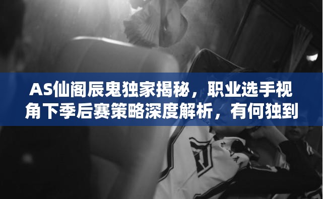 AS仙閣辰鬼獨(dú)家揭秘，職業(yè)選手視角下季后賽策略深度解析，有何獨(dú)到見(jiàn)解？