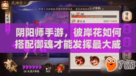 陰陽(yáng)師手游，彼岸花如何搭配御魂才能發(fā)揮最大威力？