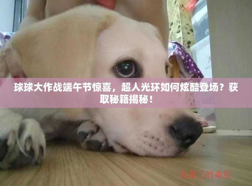 球球大作戰(zhàn)端午節(jié)驚喜，超人光環(huán)如何炫酷登場？獲取秘籍揭秘！