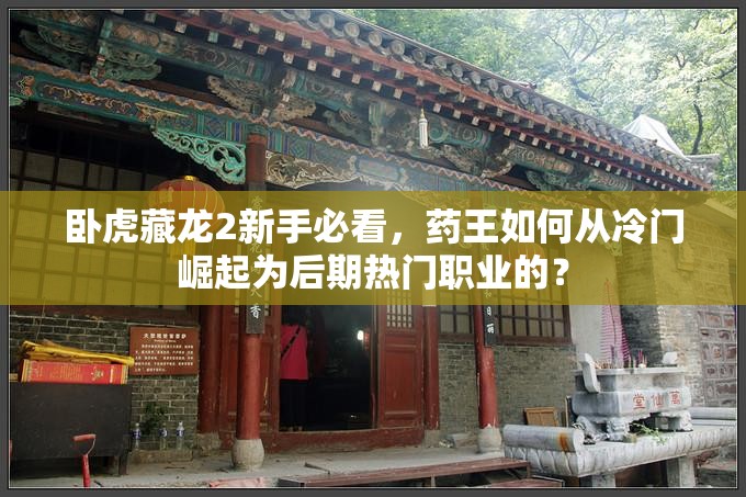 臥虎藏龍2新手必看，藥王如何從冷門崛起為后期熱門職業(yè)的？