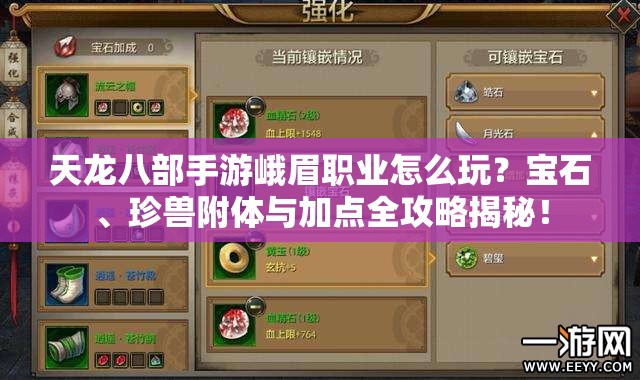 天龍八部手游峨眉職業(yè)怎么玩？寶石、珍獸附體與加點全攻略揭秘！