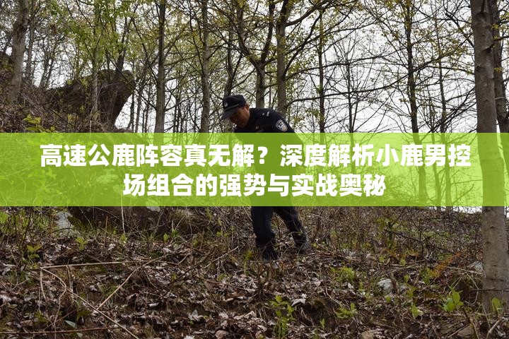 高速公鹿陣容真無(wú)解？深度解析小鹿男控場(chǎng)組合的強(qiáng)勢(shì)與實(shí)戰(zhàn)奧秘