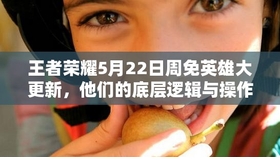 王者榮耀5月22日周免英雄大更新，他們的底層邏輯與操作有何深度變化？