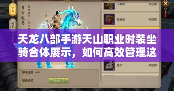 天龍八部手游天山職業(yè)時裝坐騎合體展示，如何高效管理這些炫酷資源？