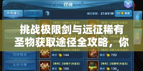挑戰(zhàn)極限劍與遠(yuǎn)征稀有圣物獲取途徑全攻略，你掌握了嗎？