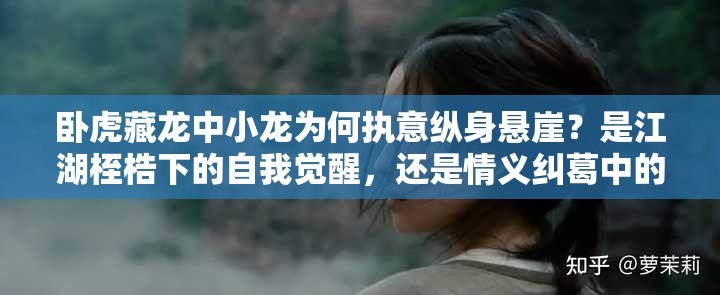 臥虎藏龍中小龍為何執(zhí)意縱身懸崖？是江湖桎梏下的自我覺醒，還是情義糾葛中的終極抉擇？