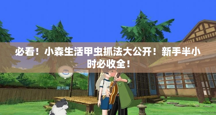 必看！小森生活甲蟲抓法大公開！新手半小時必收全！