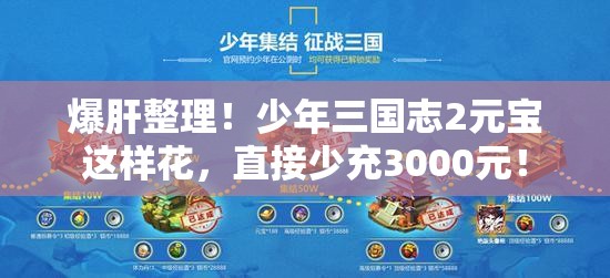 爆肝整理！少年三國志2元寶這樣花，直接少充3000元！