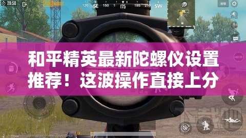 和平精英最新陀螺儀設(shè)置推薦！這波操作直接上分如喝水