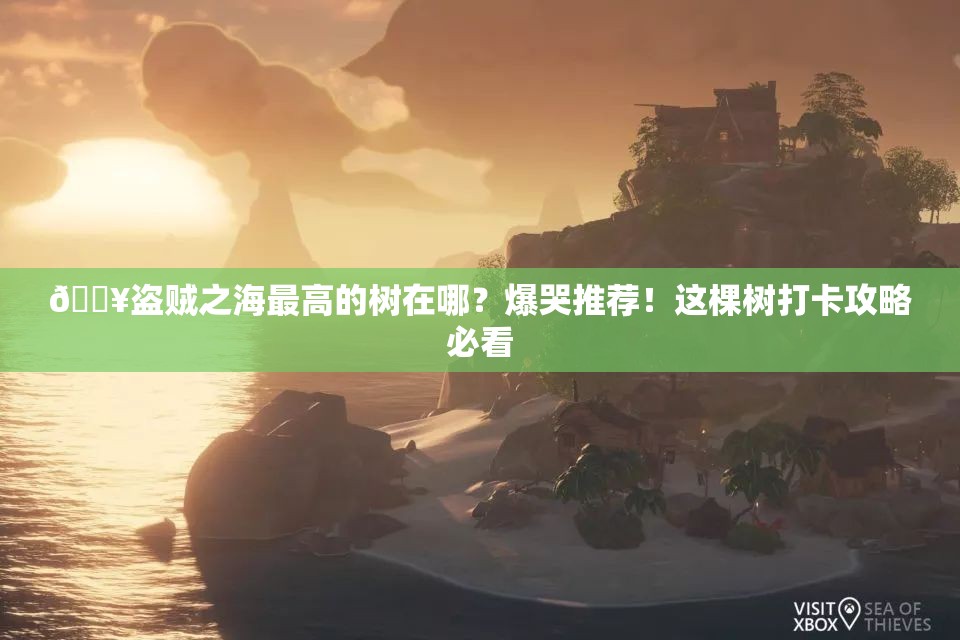??盜賊之海最高的樹在哪？爆哭推薦！這棵樹打卡攻略必看