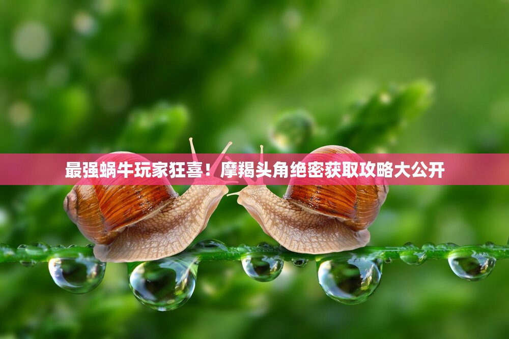 最強(qiáng)蝸牛玩家狂喜！摩羯頭角絕密獲取攻略大公開